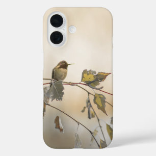 Hummingbird 5265 iPhone 16 case