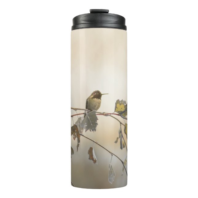 Hummingbird 5265 thermal tumbler (Front)