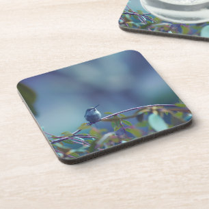 Hummingbird 5738 coaster