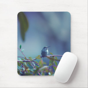 Hummingbird 5738 mouse pad