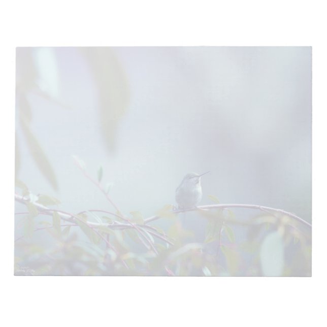 Hummingbird 5738 notepad (Front)