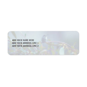 Hummingbird 5738 return address label
