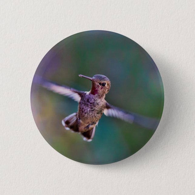 Hummingbird 6 Cm Round Badge (Front)