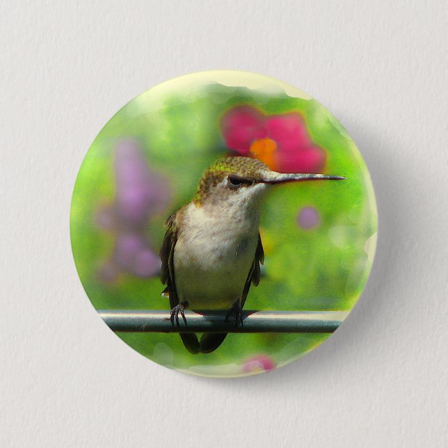 Hummingbird 6 Cm Round Badge (Front)