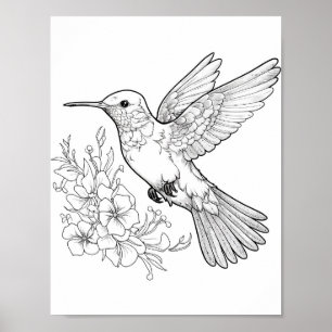 Hummingbird Adult Colouring Poster