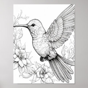 Hummingbird Adult Colouring Poster
