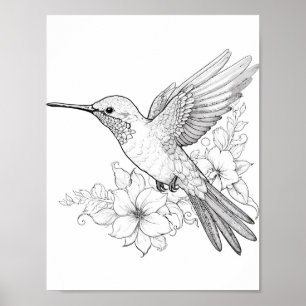 Hummingbird Adult Colouring Poster