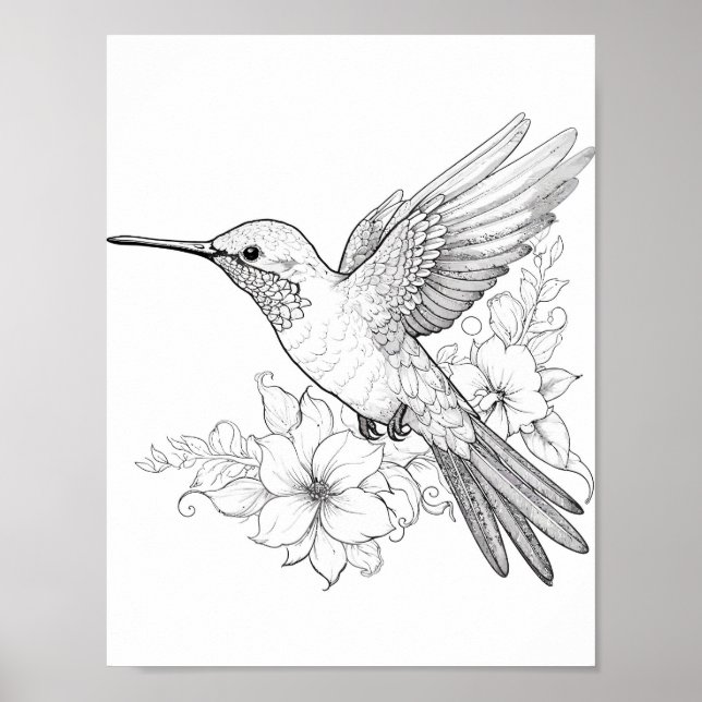 Hummingbird Adult Colouring Poster (Front)
