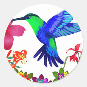 Hummingbird Amidst Nature’s Beauty,Serenade Wings Classic Round Sticker
