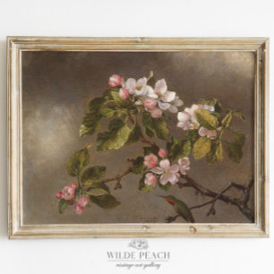 Hummingbird and Apple Blossom Vintage Painting Poster