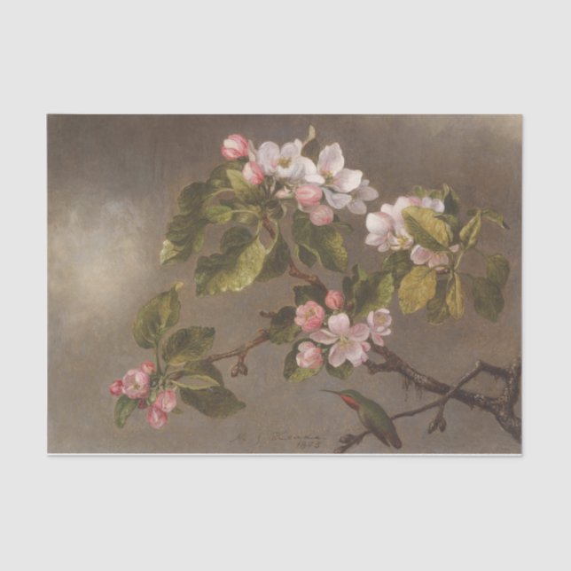 Hummingbird and Apple Blossoms by Martin Heade Tissue Paper (Front)