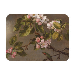 Hummingbird and Apple Blossoms Magnet
