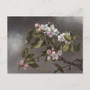 Hummingbird and Apple Blossoms Martin J. Heade Postcard