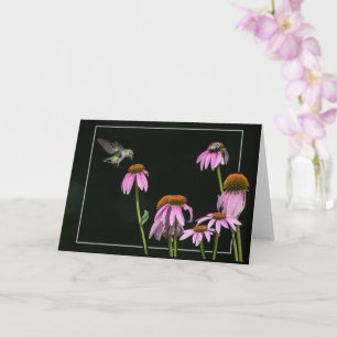 Hummingbird And Bee Share Coneflower Card