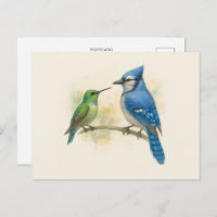 Hummingbird and Blue Jay Nature 