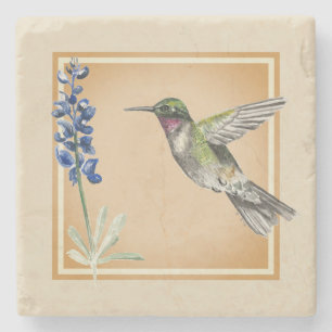Hummingbird and Bluebonnet on Neutral Background Stone Coaster