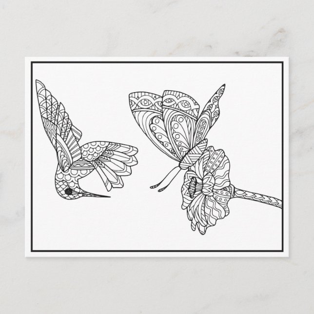 Hummingbird and Butterfly Colouring Postcard (Front)