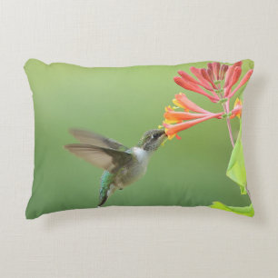 Hummingbird and Coral Honeysuckle Throw Pillow