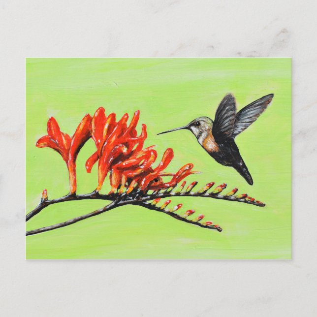 Hummingbird and Crocosmia Painting Postcard (Front)