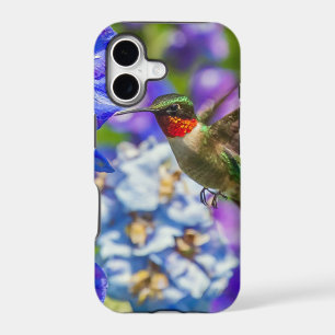 Hummingbird And Delphinium