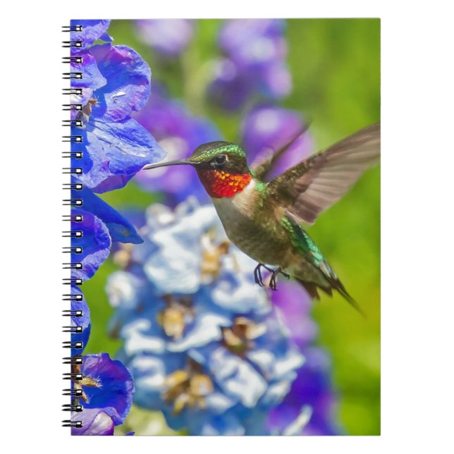 Hummingbird And Delphinium Notebook (Front)