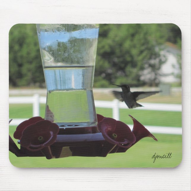Hummingbird and Feeder Mouse Pad (Front)