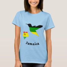 Hummingbird and flower in Jamaican and Rasta