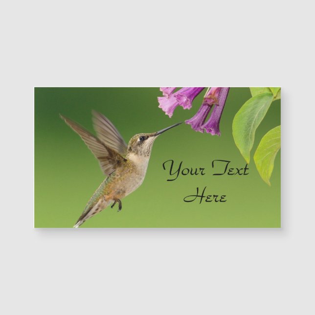 Hummingbird And Flower Magnetic Business Card (Front)