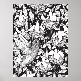Hummingbird and fuchsia poster