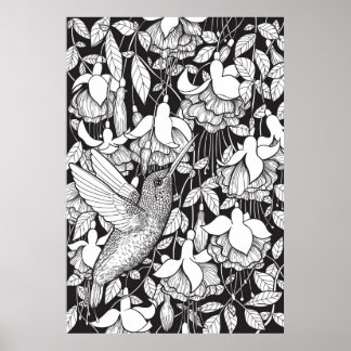 Hummingbird and fuchsia poster