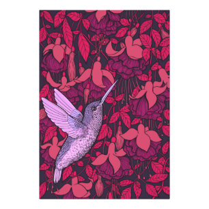 Hummingbird and fuchsia violet photo print