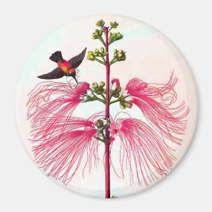 hummingbird and mimosa magnet