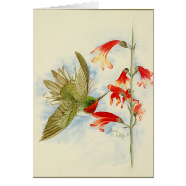 Hummingbird and Red Blossoms (Front)