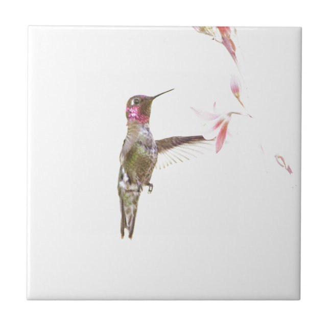 Hummingbird and single flower ceramic tile (Front)