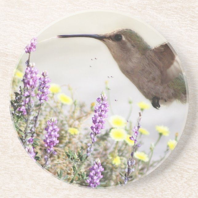 Hummingbird and Wildflowers Digital Art Coaster (Front)