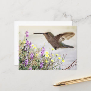 Hummingbird and Wildflowers Digital Art Postcard