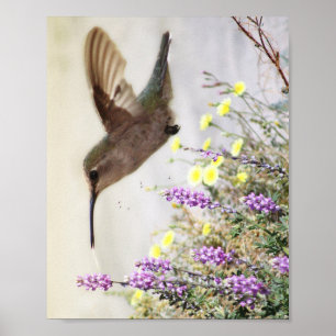 Hummingbird and Wildflowers Digital Art Poster