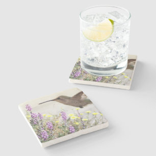 Hummingbird and Wildflowers Digital Art Stone Coaster