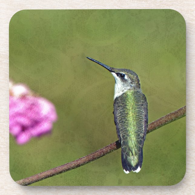 Hummingbird and Zinnia Coaster (Front)