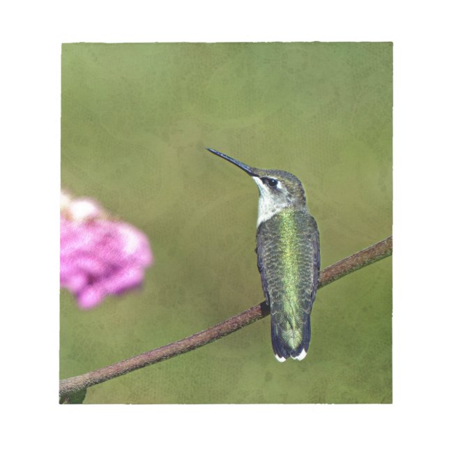 Hummingbird and Zinnia Notepad (Front)