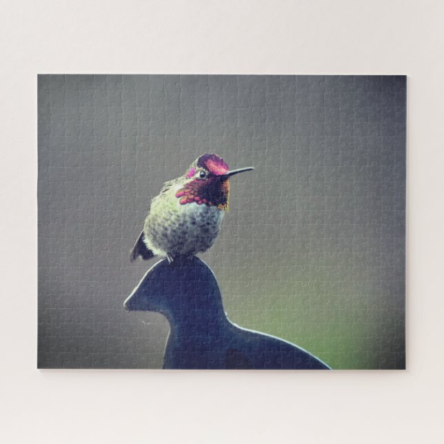 Hummingbird Anna's Puzzle (Horizontal)