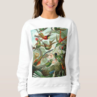 Hummingbird Antique Print Sweatshirt