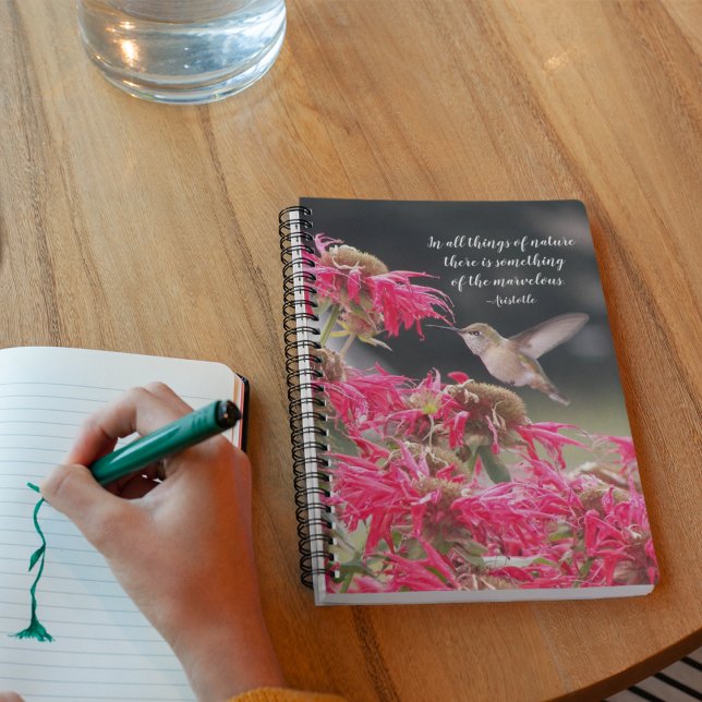 Hummingbird Aristotle Philosophical Quote Notebook (In Situ)