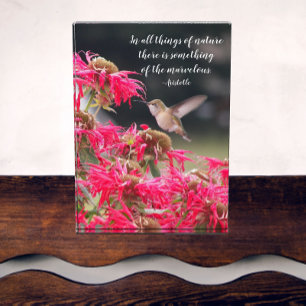 Hummingbird Aristotle Philosophical Quote Photo Block