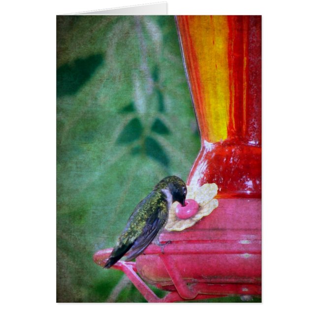 Hummingbird at Feeder (Front)