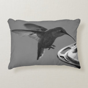 Hummingbird at Feeder Black and White 2 or 3 Decorative Cushion