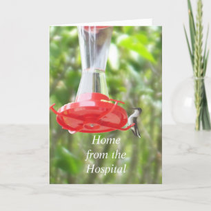 Hummingbird at Feeder-Home from the Hospital Card