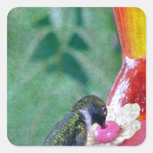 Hummingbird at Feeder Square Sticker (Front)