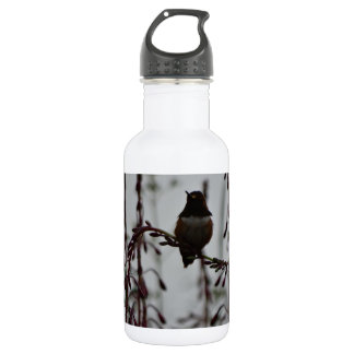 Hummingbird at rest 532 ml water bottle