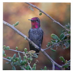 Hummingbird at sunset ceramic tile